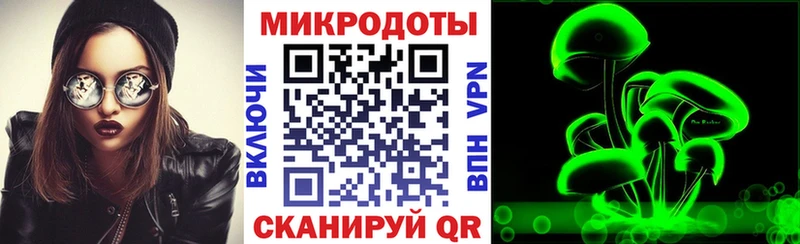 Псилоцибиновые грибы Psilocybe  Петухово 